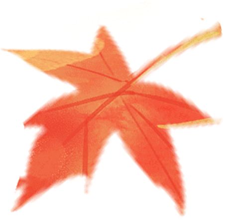 微信直播带货要求_直播带货假货赔偿_主播承诺假一赔十法律效力