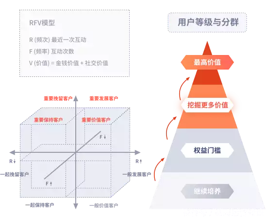 提升内容曝光度技巧_小红书SEO优化排名法则_小红书带货排行榜前十名