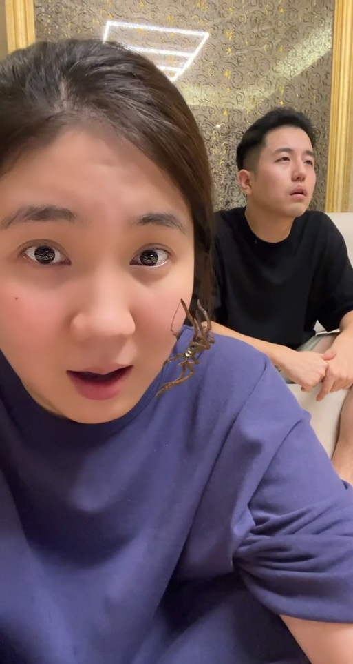 抖音上金爱罗夫妇家庭背景_抖音里的金爱罗夫妇_抖音上金爱罗夫妇卖货