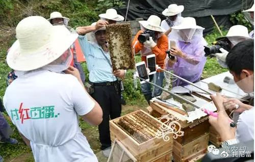 百度直播带货怎么申请_腾讯看点直播带货_看点直播平台优势