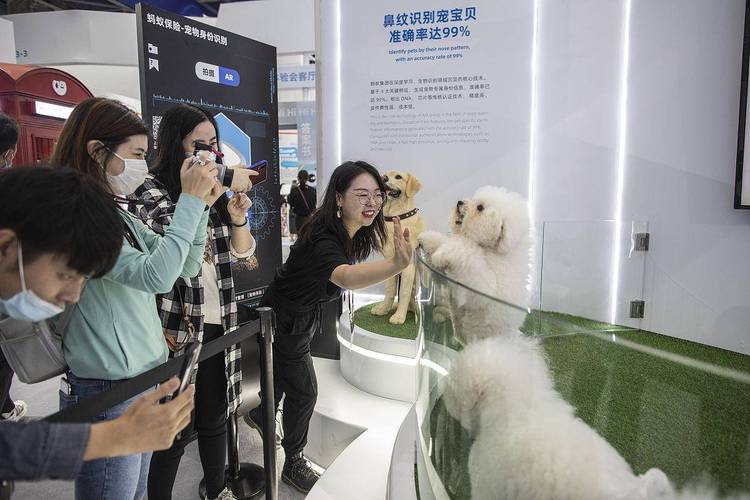 京东宠物亚宠展_京东宠物新商家扶持政策_如何成为京东达人卖家