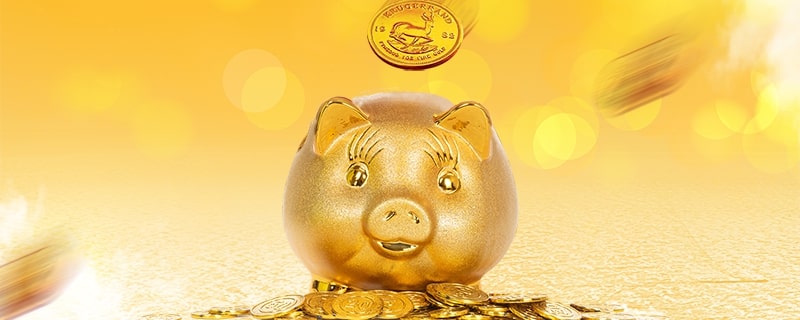 开京东直播费用_京东达人怎么搬运视频教程_京东达人直播条件