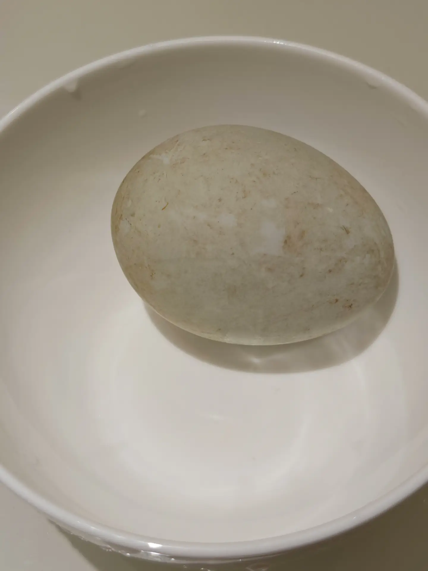 活珠子营养价值_活珠子制作过程_直播间卖的活珠子能吃吗