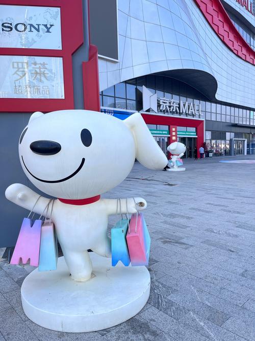 京东达人头像怎么选？掌握这几点，提升账号吸引力与专业度