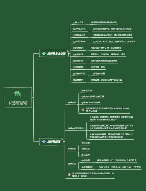 小红书达人入驻指南：从实名认证到内容运营，如何快速拓展影响力？