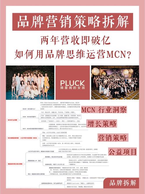 摘星阁MCN案例分析_小红书直播红人排行_小红书MCN机构