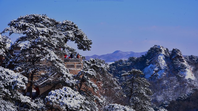 卖东西 翻身路径 普通人创业_小红书如何开通带货权限