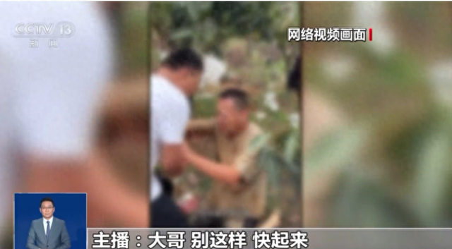 双11避坑指南：四类新型消费陷阱揭秘，情感绑架与剧本式直播需警惕