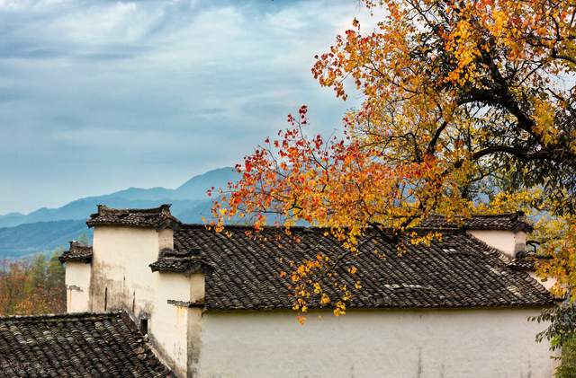 淘宝达人从哪里看_维护达人合作关系_寻找靠谱带货达人