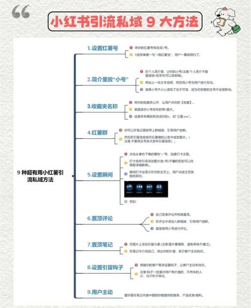 小红书运营指南：如何选择垂直领域？3步写出热门笔记技巧