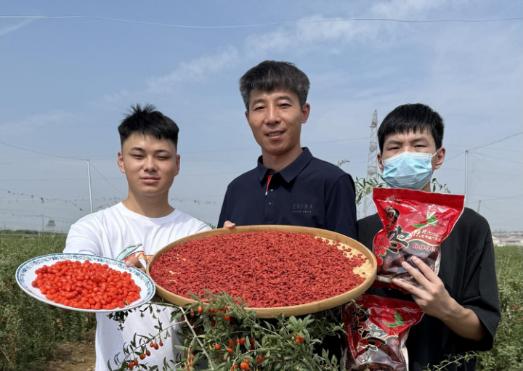 快手新农人带货直播_快手达人需要多少粉丝_沂蒙山区农产品电商销售