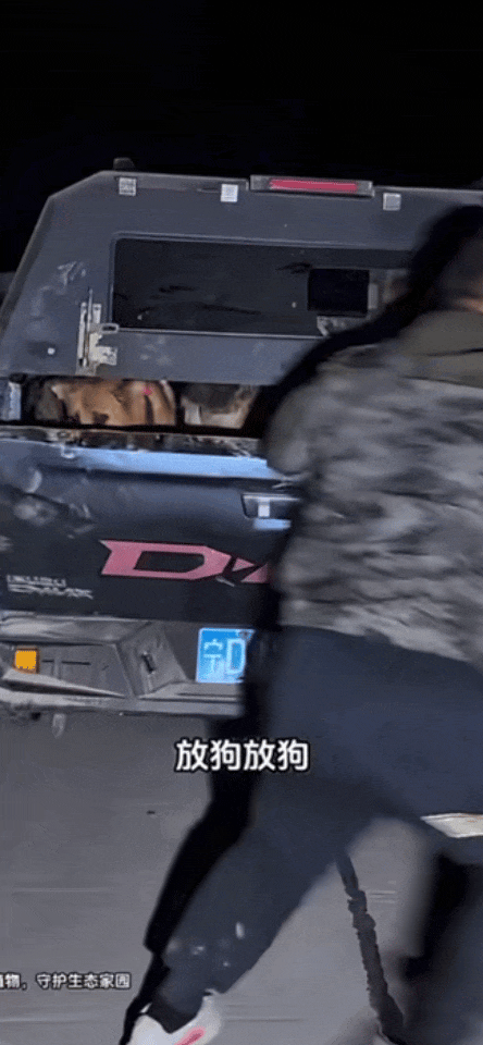 西北刀客护农记：四年斩获‘护农王’称号，快手粉丝破127万