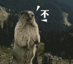 抖音橱窗实名认证_抖音挂小黄车有什么影响_抖音电商新规影响