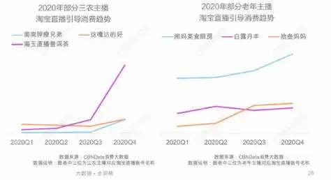 淘宝带货团队有哪些类型_2020电商直播行业发展趋势_头部肩部主播占比分析