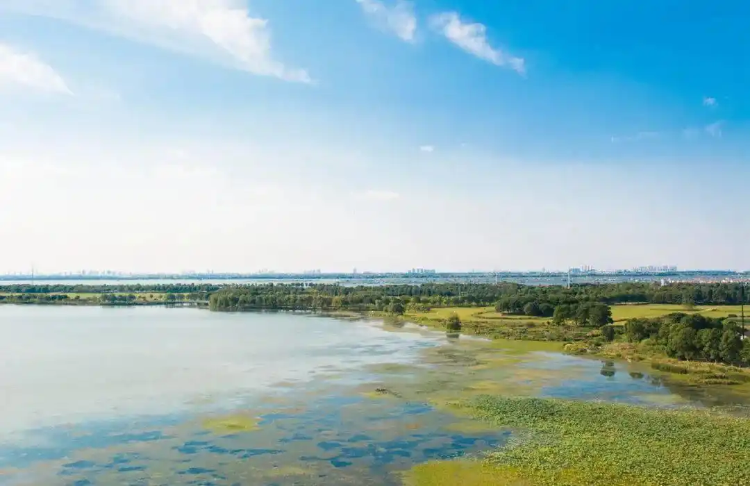 阳澄湖大闸蟹正宗产地 购买苏渔品牌蟹卡 阳澄湖大闸蟹协会认证防伪_卖大闸蟹微商广告词
