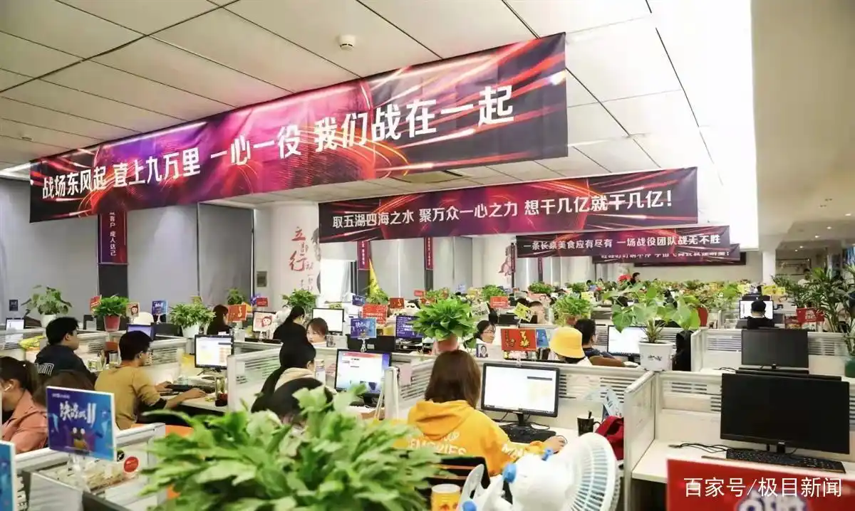 新品牌天猫旗舰店运营策略_双11新品牌销售目标规划_小红书网红推广怎么赚钱