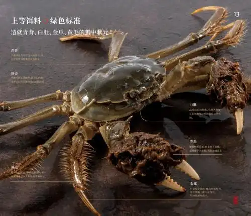 蟹状元十年品牌发展历程_卖大闸蟹微商广告词_蟹状元大闸蟹品质优势