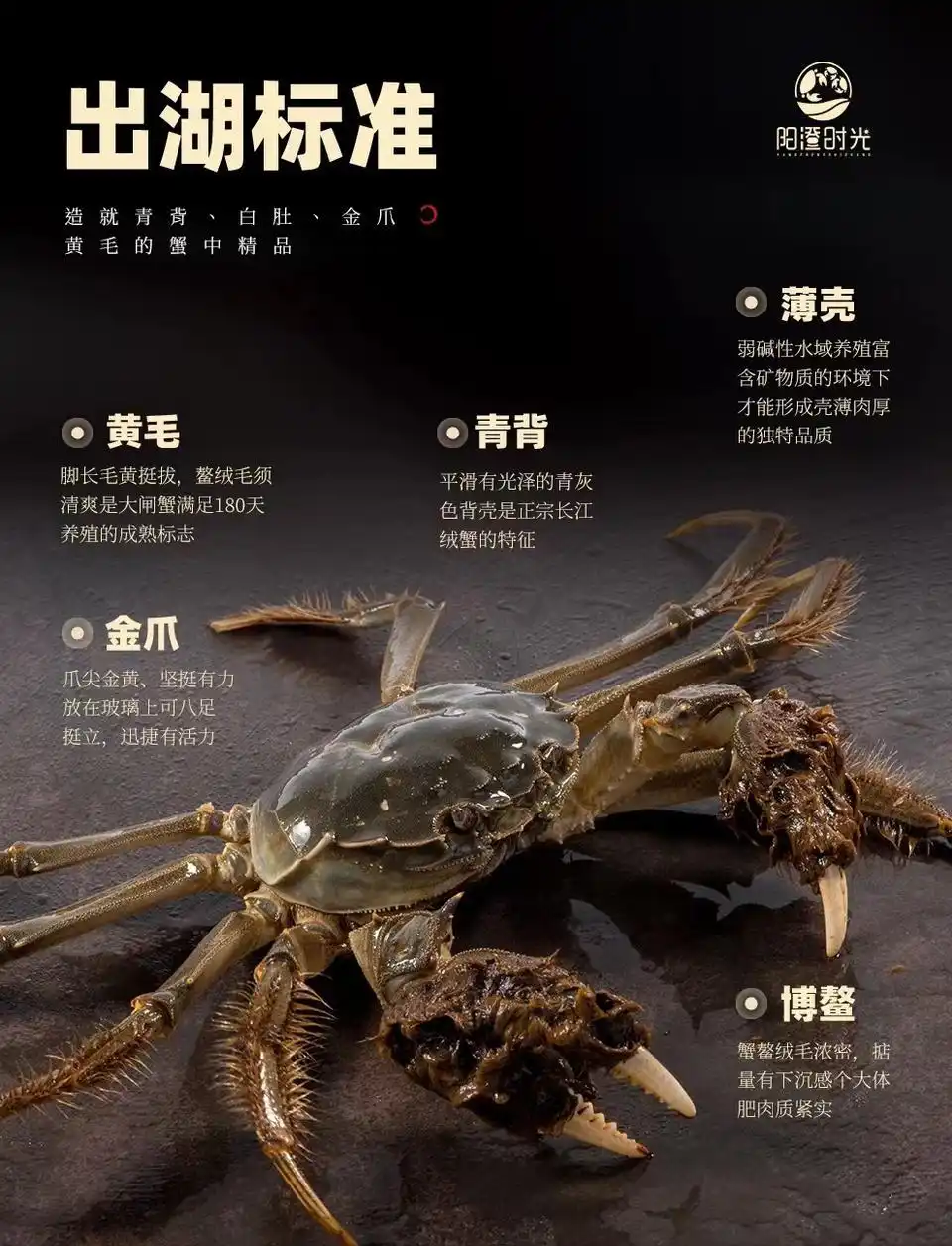 卖大闸蟹微商广告词_阳澄湖大闸蟹预售_阳澄湖大闸蟹礼券团购