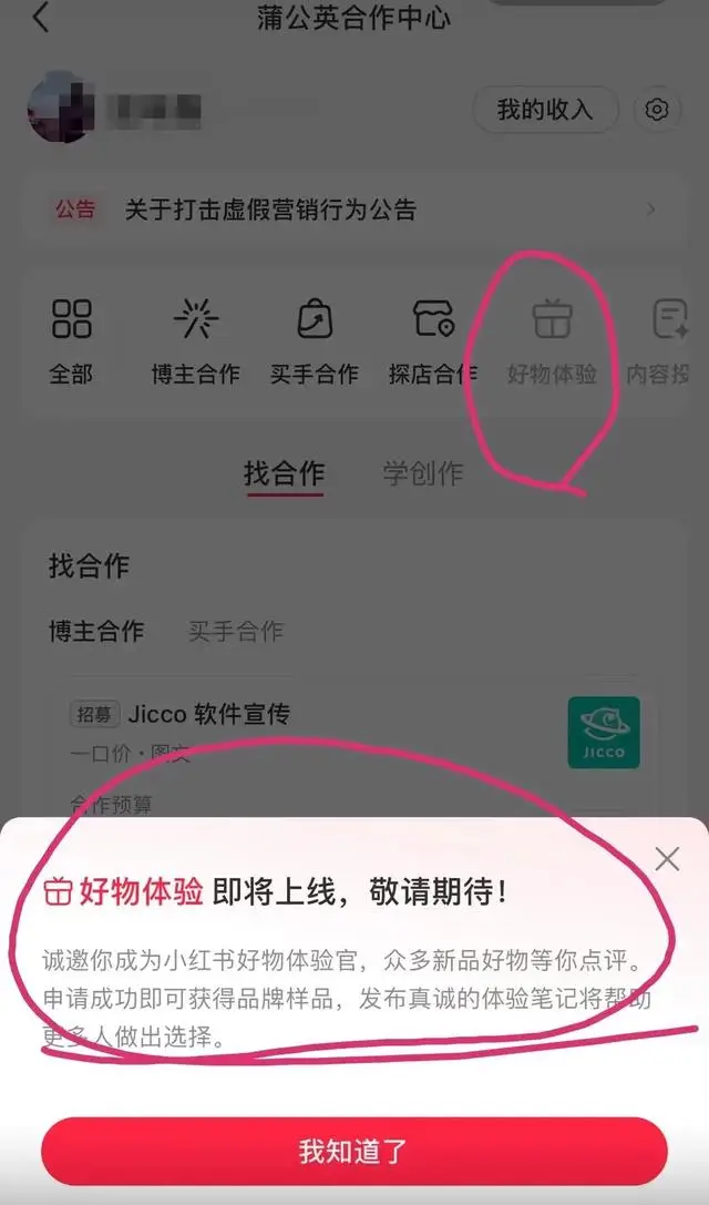 小红书博主必看：5大收入来源全解析，0粉丝也能轻松变现