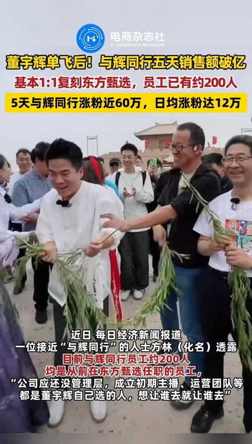 抖音带货排名怎么看_与辉同行供货厂家影响_与辉同行直播带货