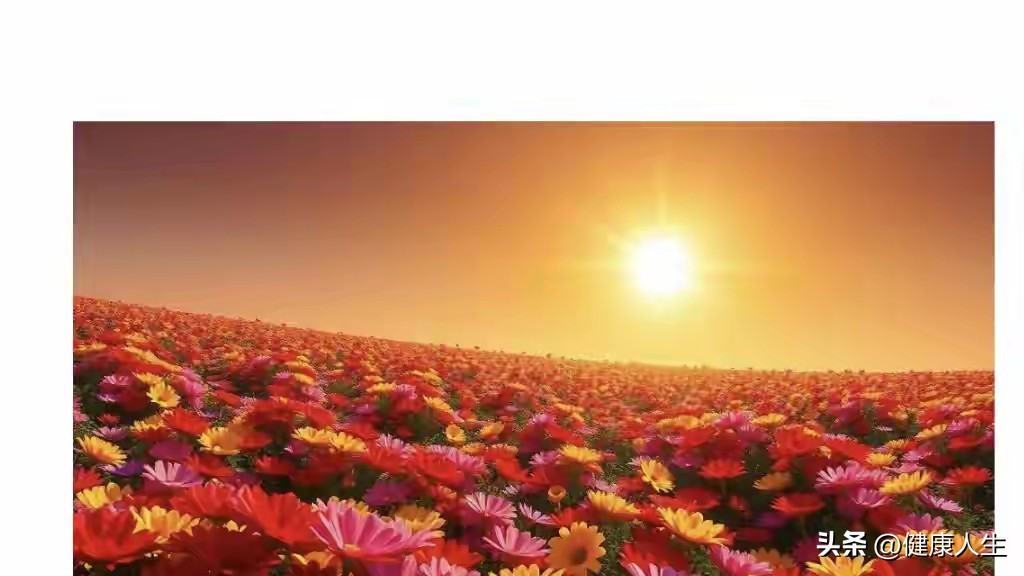 开抖音小店需要多少费用_抖音小店保证金退还条件_抖音小店保证金退回流程