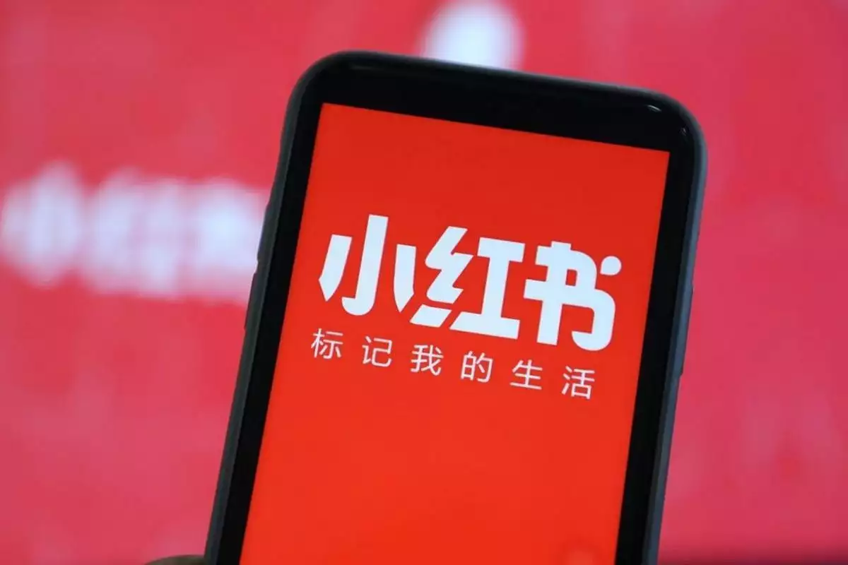 小红书红猫计划 淘天外链 京东红京计划_小红书带货要求高吗知乎