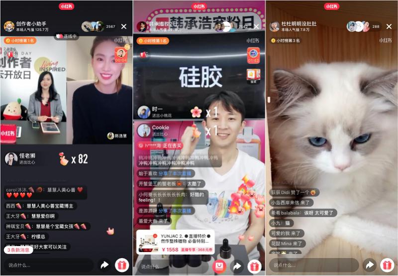 小红书视频创作者扶持计划_小红书能带货么_小红书100亿流量扶持计划
