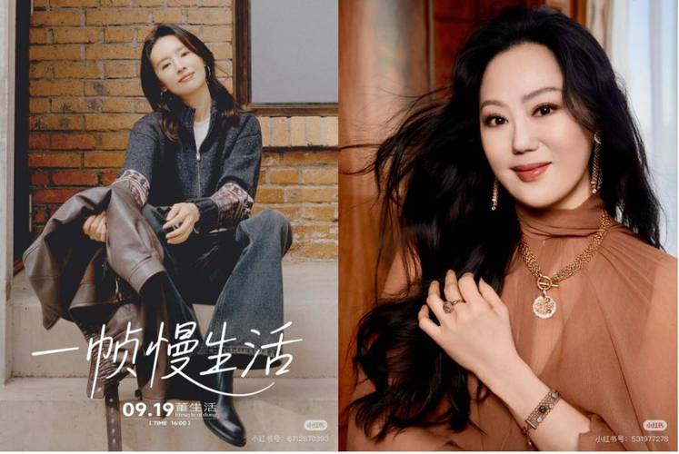 董洁小红书带货客单价复购率_小红书直播带货董洁排名_小红书带货主播排名表最新