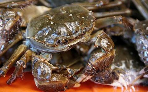 大闸蟹广告宣传_品蟹文案_大闸蟹卖货文案