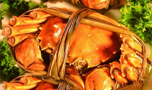 大闸蟹广告宣传_大闸蟹卖货文案_品蟹文案