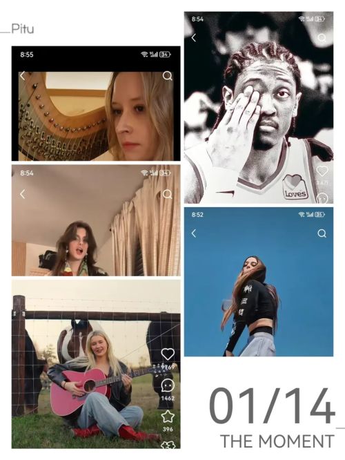 小红书平台佣金怎么算_TikTok难民 小红书 国际化 用户增长