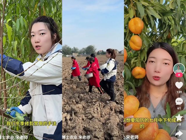 快手三农电商生态_快手新农人模式_快手如何直播带货