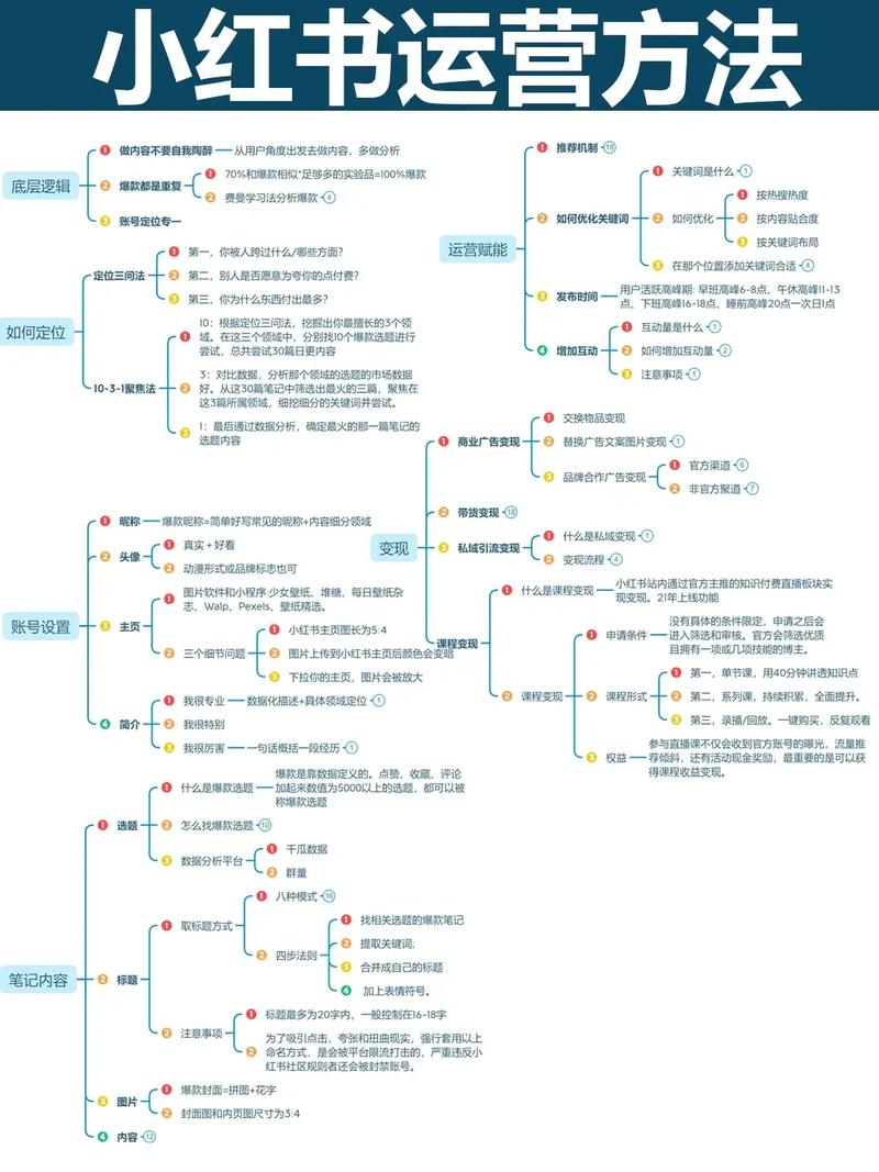 小红书开店全攻略：从定位到运营，3大关键步骤与注意事项