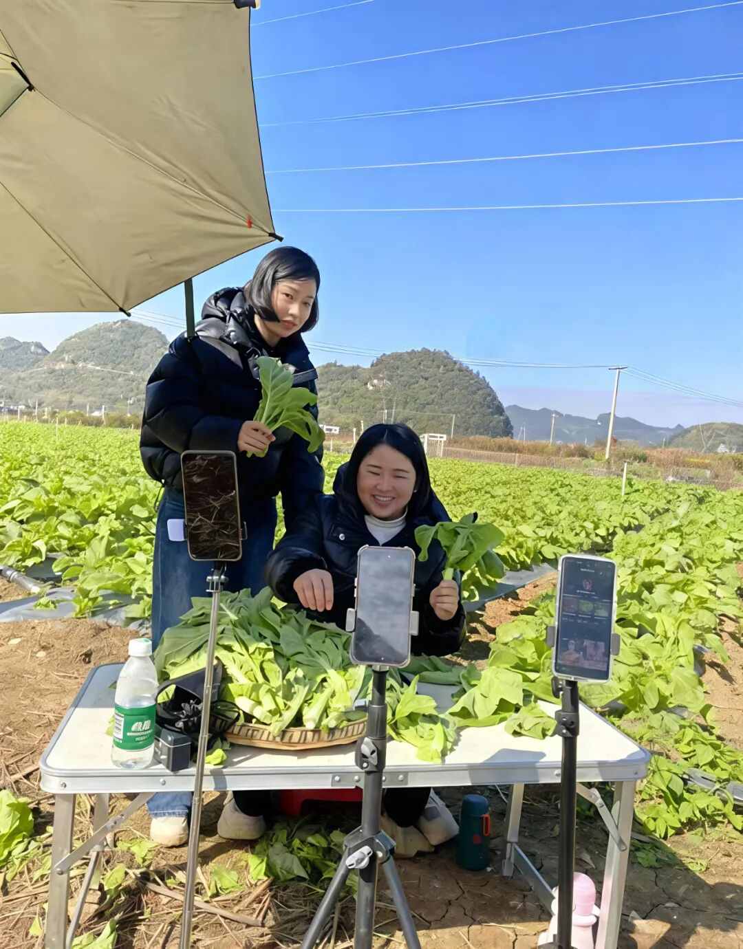 玉兔社区电商就业_直播间带货流程话术_社区直播带货基地
