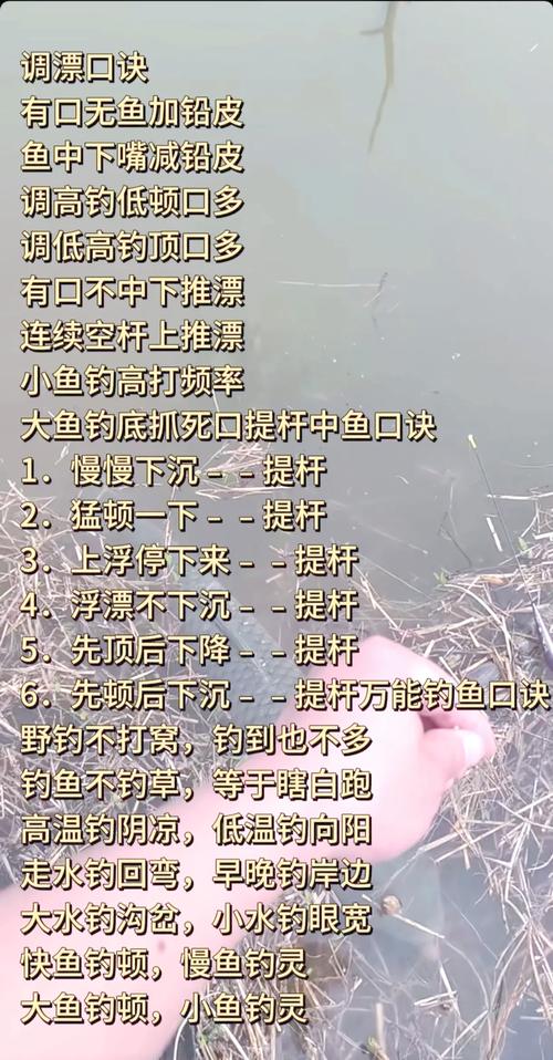 新手如何开直播?掌握这几点,轻松开启你的首次钓鱼直播