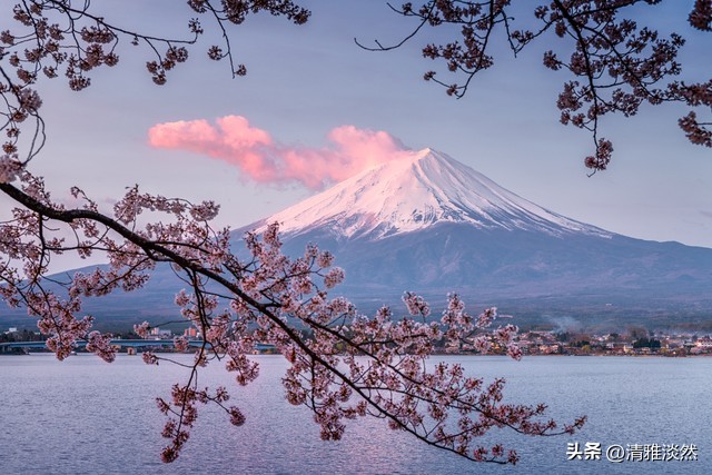 短视频带货课骗局_宝妈退休老人副业骗局_小红书上带货怎么收费的