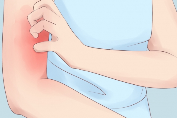 南京活珠子营养价值_活珠子怎么卖_活珠子养颜美容功效