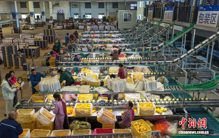 山东荣成女性直播带货_电商直播带货怎么做推广_山东荣成巾帼直播团队