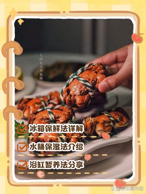 大闸蟹直播卖货秘诀:从挑青背白肚到保鲜送达,让顾客放心下单