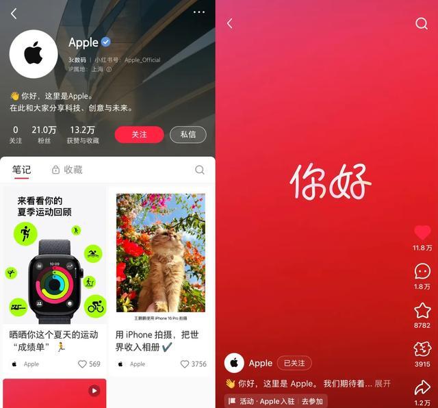苹果在小红书营销_iPhone 小红书笔记分析_小红书带货规则是什么
